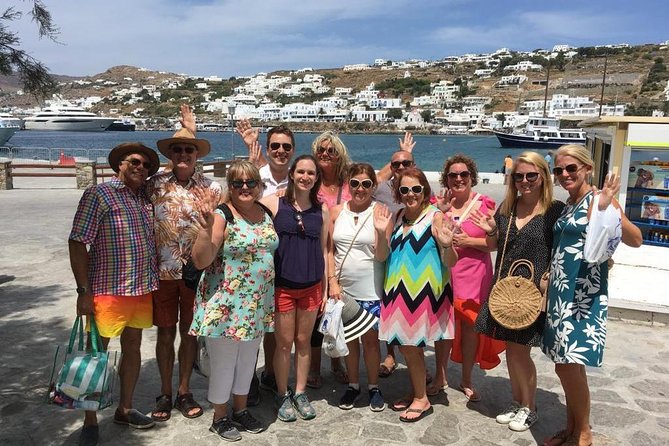 Half-Day Highlights of Mykonos Tour - Little Venice