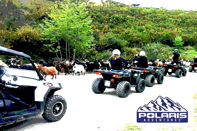 Half-Day Rethymno Quad Safari - Discovering Traditional Greek Villages