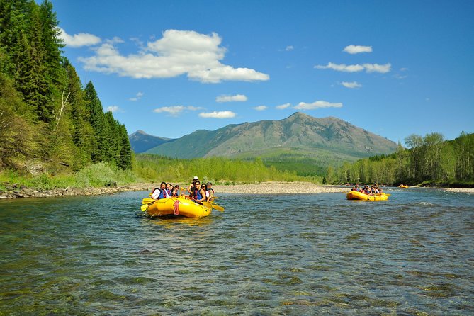 Half Day Whitewater Rafting Trip - Customer Feedback and Ratings