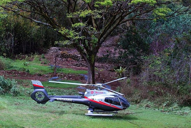 Hana Rainforest Helicopter Flight With Landing From Maui - Safety and Accessibility