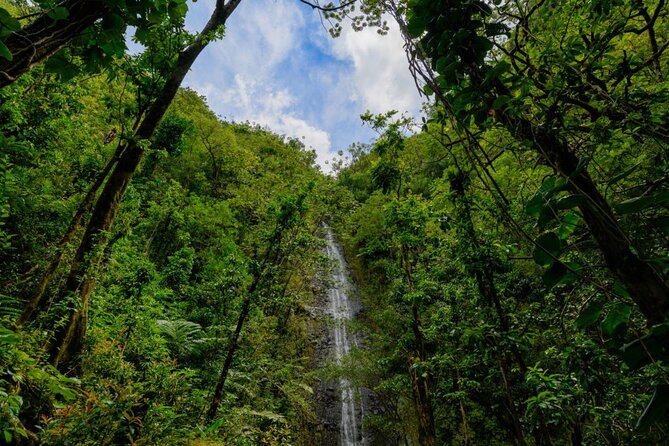 Hike Trail to Waterfall & Nature Walk - Guided Expertise