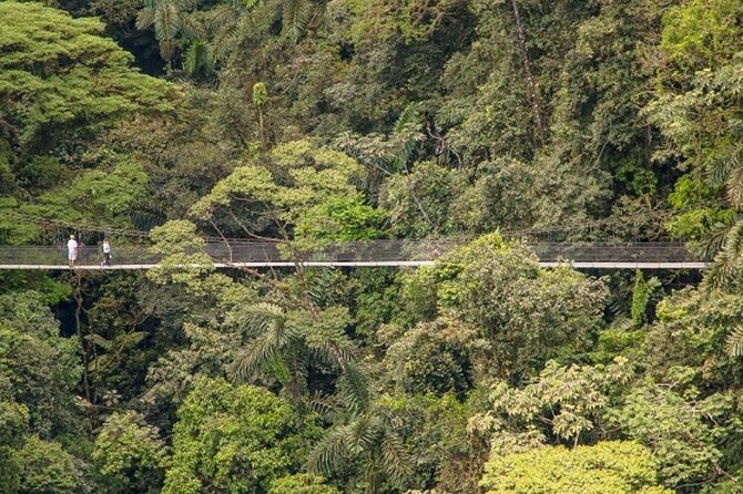 Hiking Lovers (Hanging Bridges + La Fortuna Waterfall + Volcano Hike) - Positive Traveler Feedback