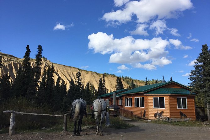 Horse-Drawn Covered Wagon Ride With Backcountry Dining - Highlights of the Tour
