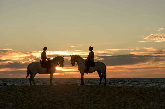 Horse Riding on the Beach - Safety Measures and Equipment Provided