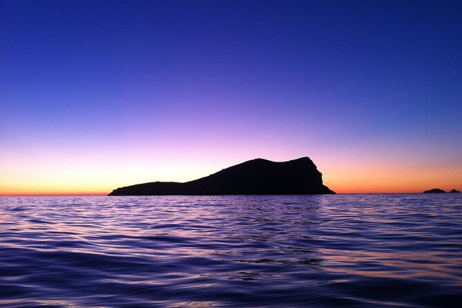 Ibiza Sunset Snorkeling Beach and Cave Cruise Tour - Customer Experience and Feedback