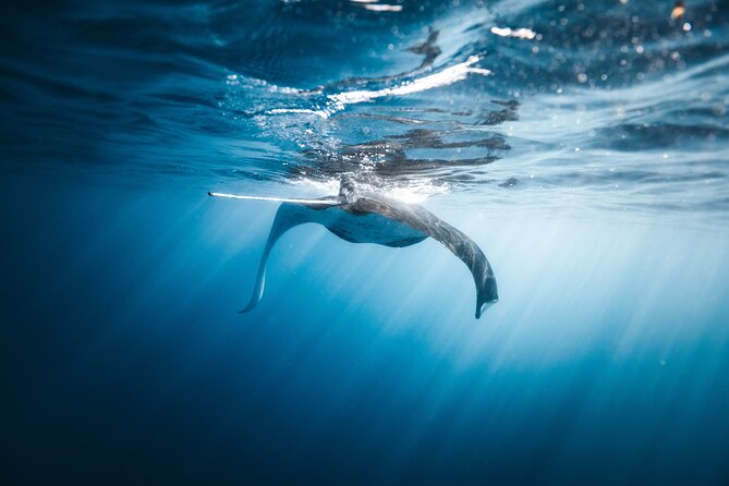 Imiloa Express Nā Pali Snorkel Tour - Meeting Location and Directions