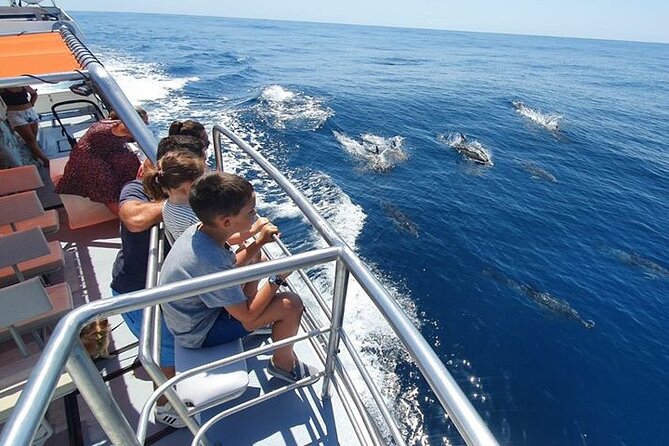 Incredible Dolphin Watching Experience on Our Family Friendly Catamaran - Lagos - Departure Times and Inclusions