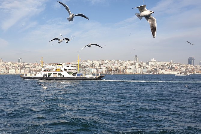 Istanbul Private Guided Tour for Layover Flight. Transfer Incl. - Tour Experience and Guide Feedback