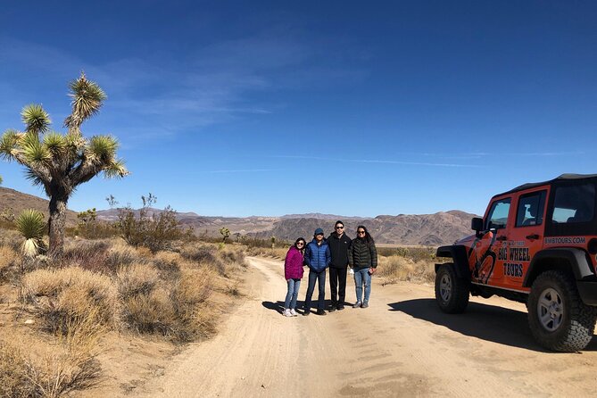 Joshua Tree National Park Offroad Tour - Wildlife Encounters in the Backcountry