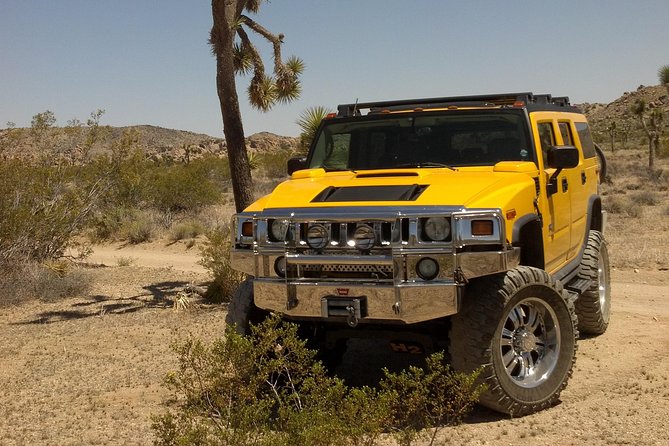 Joshua Tree National Park Scenic Tour - What to Expect on the Tour