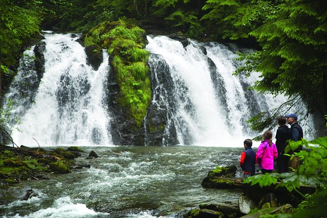 Juneau Whale Watching and Salmon Bake - Guaranteed Whale Sightings