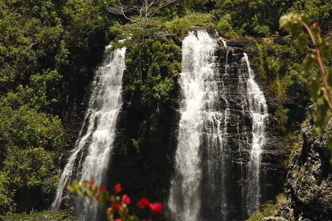 Kauais South & East Small Group Tour. Legends & Waterfalls - Tour Experience and Guide