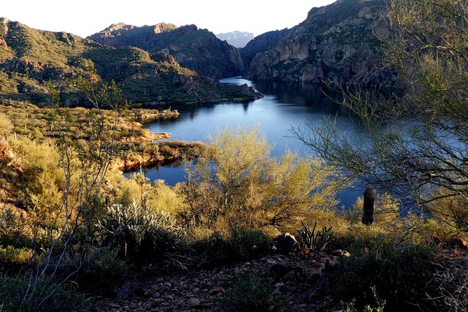 Kayaking 2 Hr Canyon & Cliffside on Saguaro Lake - Customer Feedback and Highlights