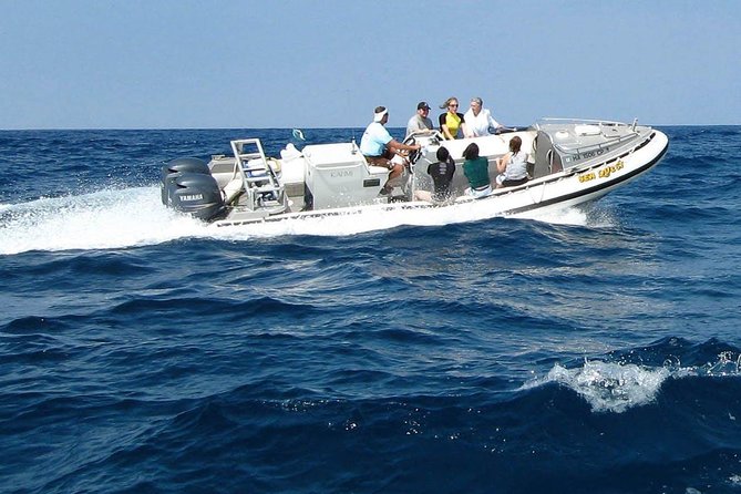 Kealakekua Bay Captain Cook Snorkel Exclusive - Booking Information and Policies