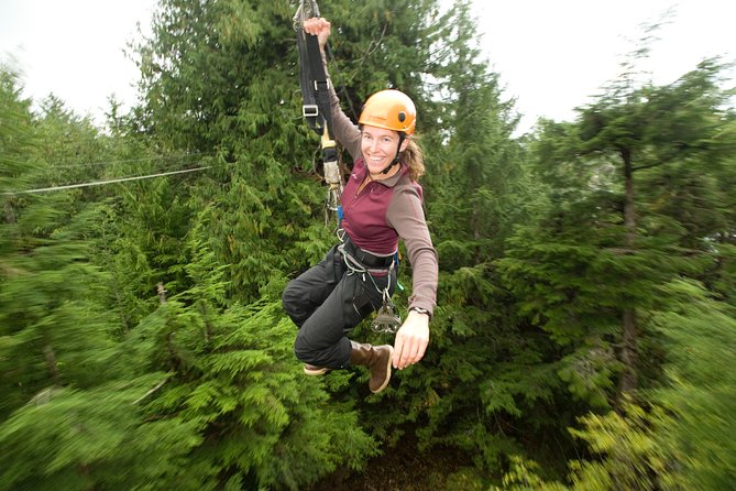 Ketchikan Shore Excursion: Rainforest Canopy Ropes and Zipline Adventure Park - Traveler Reviews and Feedback