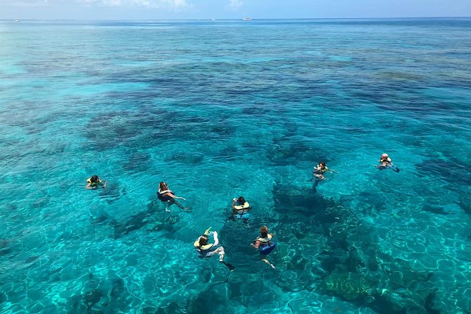 Key West Afternoon Reef Snorkeling With Open Bar - Meeting Point and Logistics