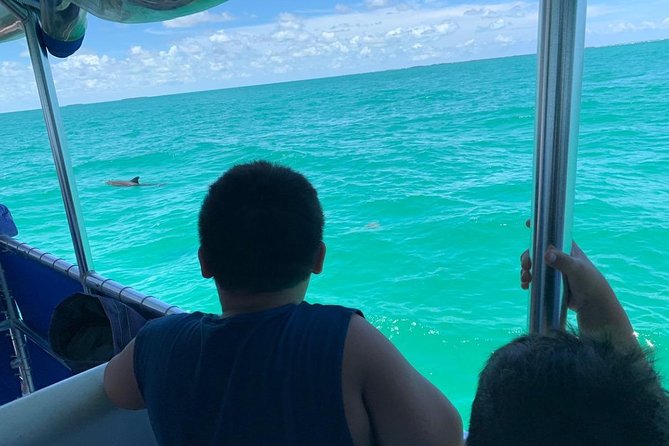 Key West Dolphin Watch and Snorkel Tour - Eco Adventure - Marine Life and Underwater Scenery