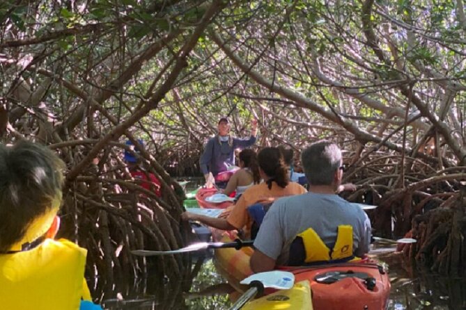 Key West Mangrove Kayak Eco Tour - Safety Considerations