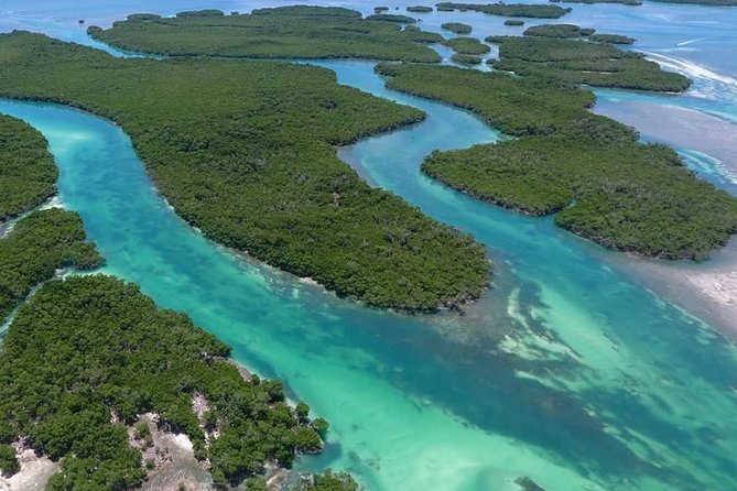 Key West Safari Eco Sandbar Tour Adventure With Snorkeling - Wildlife Encounters