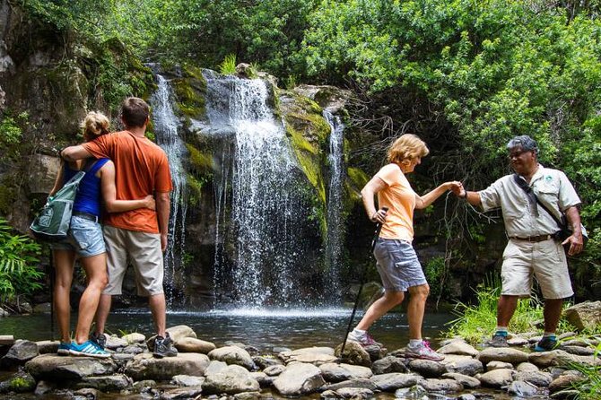Kohala Waterfalls Small Group Adventure Tour - Immersive Experience