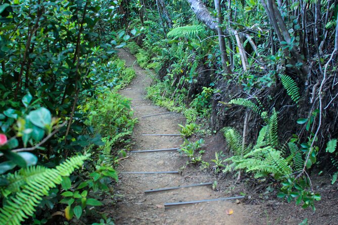 Kualoa Ranch: Jungle Expedition Tour - Stunning Jungle Scenery