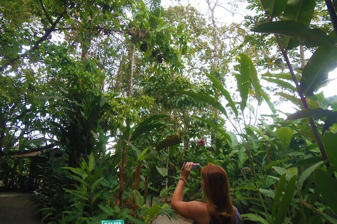 La Fortuna Birds, Butterfly Garden, Sloths Guided Tour 2hrs - Vibrant Butterfly Garden