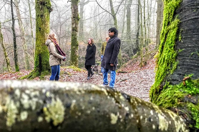 Lake District Adventure Sightseeing Day Trip From Liverpool - Essential Preparation Tips