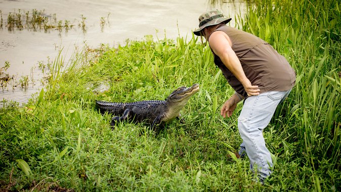 Large Airboat Ride With Transportation From New Orleans - Additional Information