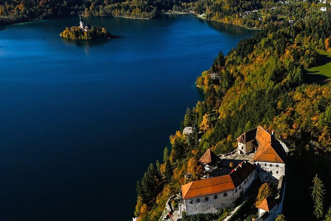 Ljubljana: Lake Bled Experience Small Group Half-Day Tour - Traveler Feedback and Recommendations