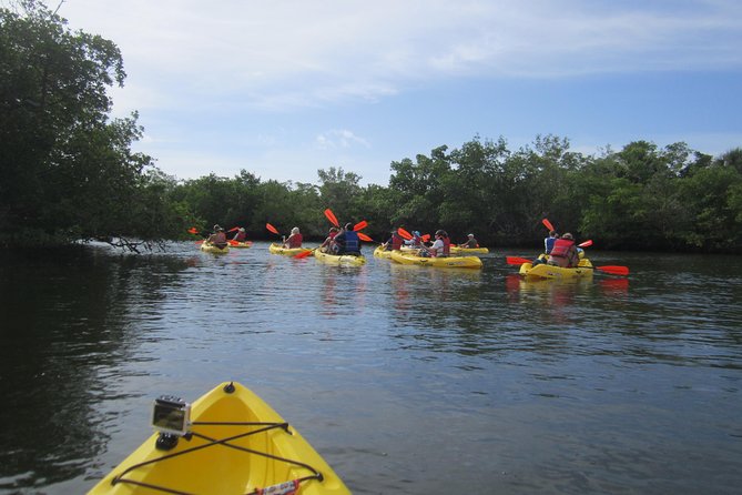 Lovers Key Guided Eco Tour-Mangrove Estuary - Knowledgeable and Friendly Guides