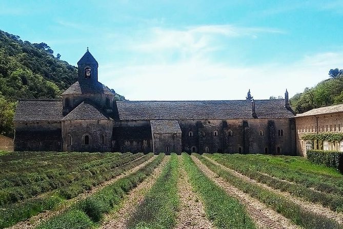 Luberon Market & Villages Day Trip From Aix-En-Provence - Customer Reviews and Feedback