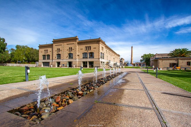 Maipú Wine-Tasting Tour From Mendoza Including Trapiche Winery - Zuelo Olive Oil Mill Tour