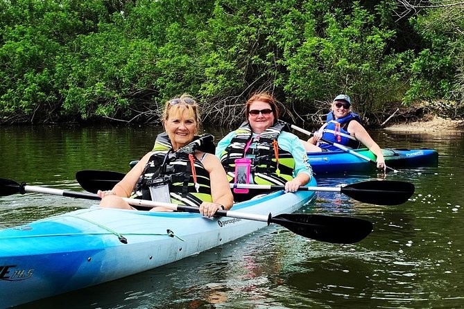 Manatee and Dolphin Kayaking Encounter - What to Expect