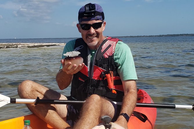 Manatee and Dolphin Kayaking | Haulover Canal (Titusville) - Wildlife Encounters