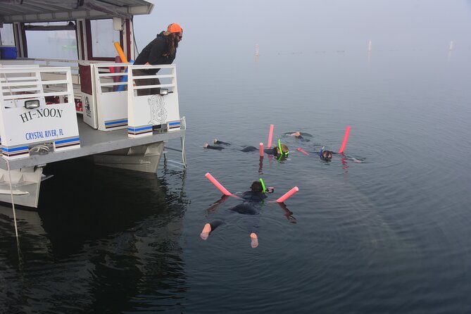 Manatee Snorkel Tour - Small Group - Recommendations and Considerations