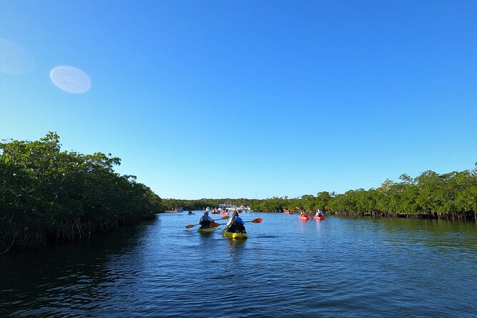 Mangrove Tunnel Kayak Adventure in Key Largo - Meeting Point and Pickup