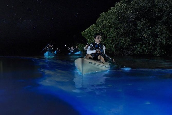 Mangrove Tunnels, Dolphins, Manatee Tour #1 Rated in Cocoa Beach - Exploring the Mangrove Tunnels