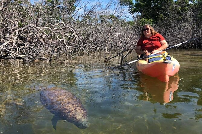 Mangroves and Manatees - Guided Kayak Eco Tour - Whats Included: Kayak Rental, Safety Gear, and Guided Instruction