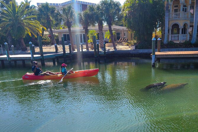 Mangroves, Manatees, and a Hidden Beach: Kayak Tour - Educational Insights From Knowledgeable Guides