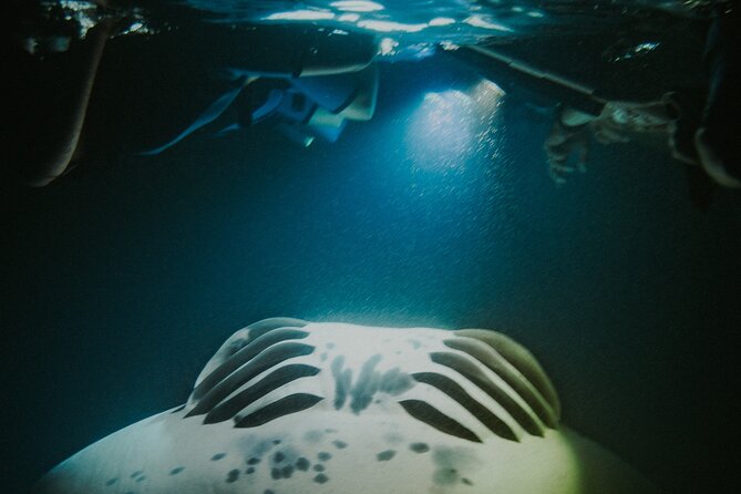 Manta Ray Snorkeling by Night in Kailua-Kona, Hawaii - Equipment and Gear Provided