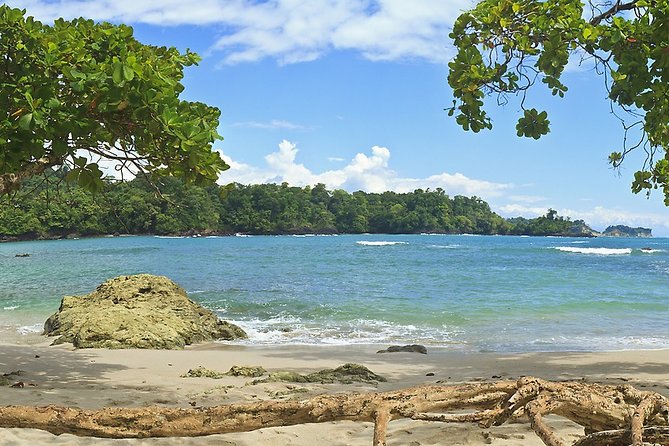 Manuel Antonio National Park Day Trip From San Jose - Whats Included and Requirements