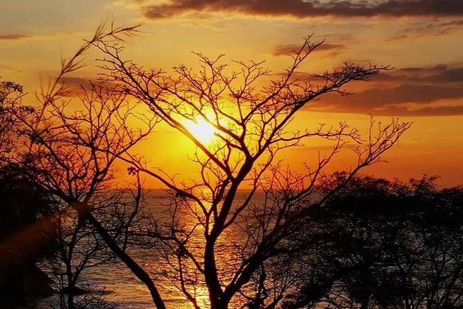 Manuel Antonio National Park Full Wildlife - Private Tour Group Size