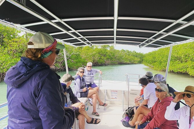 Marco Island Dolphin Sightseeing Tour - Local Ecosystem and Mangroves