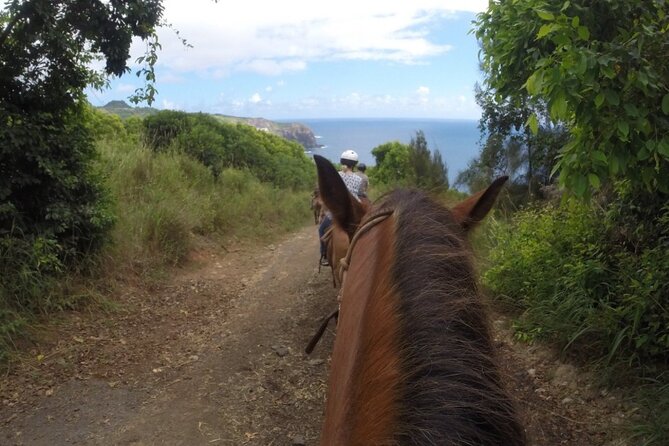 Maui Horseback Adventure at Circle M Ranch With Real Cowboys - Exploring Waihee Valley
