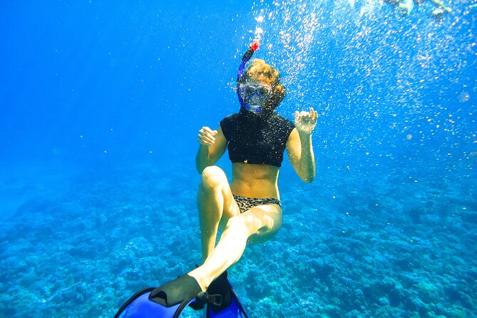 Maui Snorkel & Slide - Included Amenities and Extras