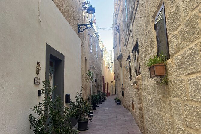 Mdina and Rabat Walking Tour Inc. Catacombs and St. Pauls Grotto - Visiting the Vilhena Palace and Natural History Museum