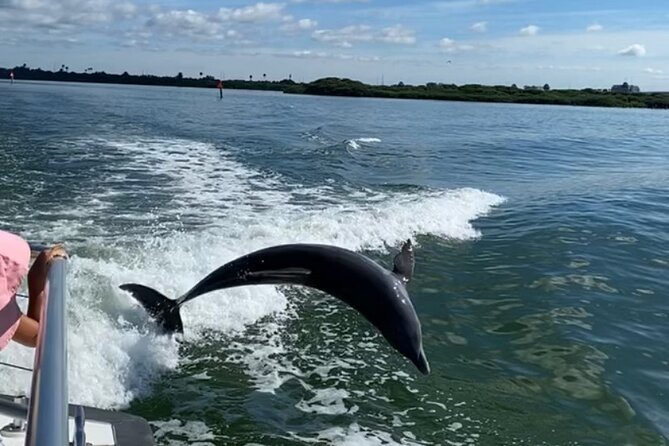 Mega Bite Dolphin Tour Boat in Clearwater Beach - Discovering Clearwater Beach Attractions