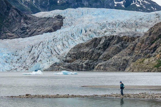 Mendenhall Glacier Visitor Center and Ultimate Whale Watch Combo - Customer Feedback and Highlights