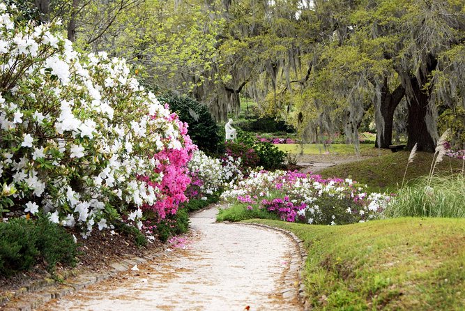Middleton Place Admission With Self Guided Tour and Lunch - Guest Reviews and Recommendations