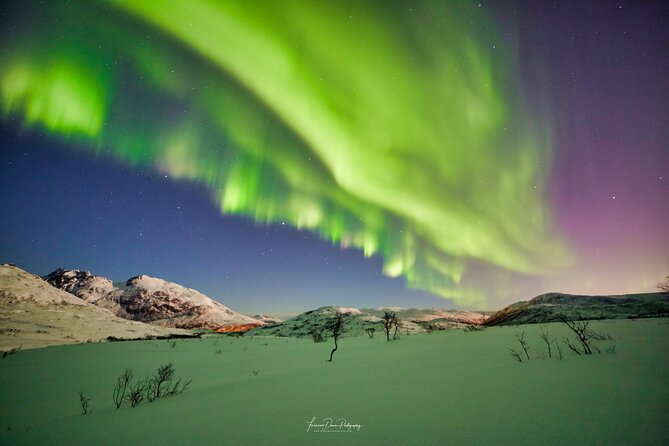 Minivan Northern Lights Excursion (8 Guests per Minivan) - Challenges and Considerations